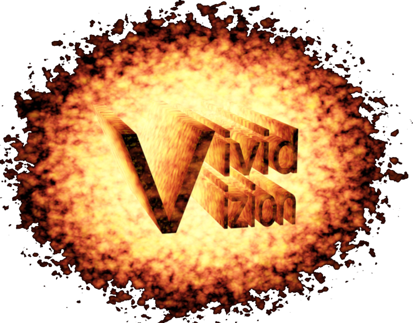 vivid vizion logo